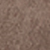 Washed Brown