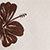Cream/brown Hibiscus