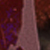 Merlot