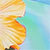 Yellow/blue