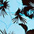 Blue/chocolate