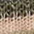 Green Stripe