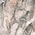 Woodland Camo