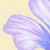 Butter/lilac