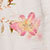 Cream/pink Floral